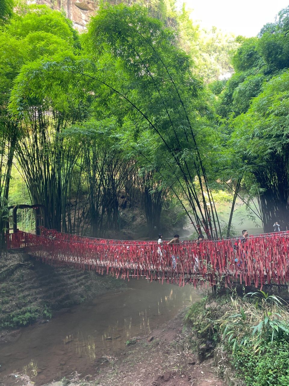 邛崃川西竹海景区电话图片