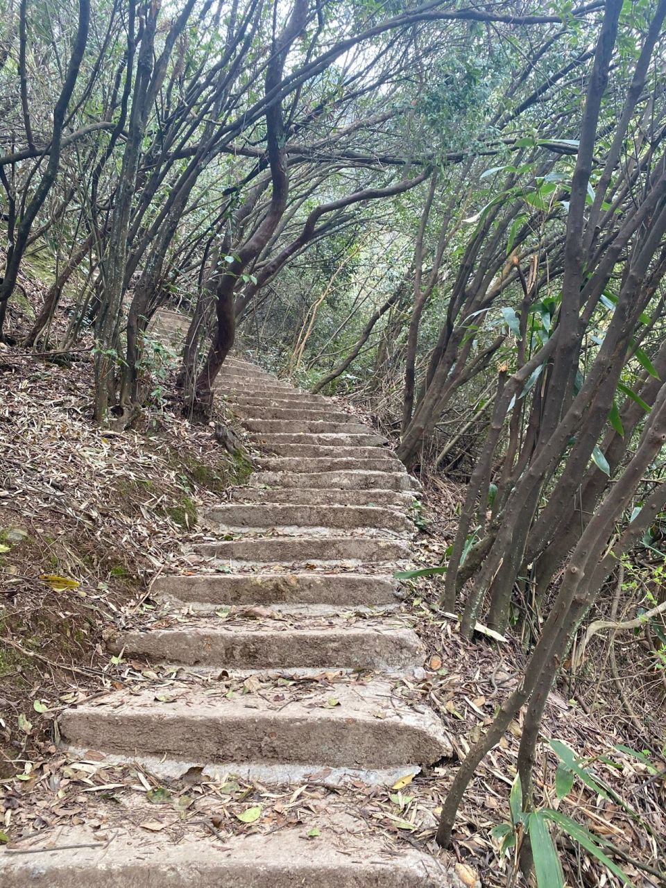 新邵凤凰谷图片