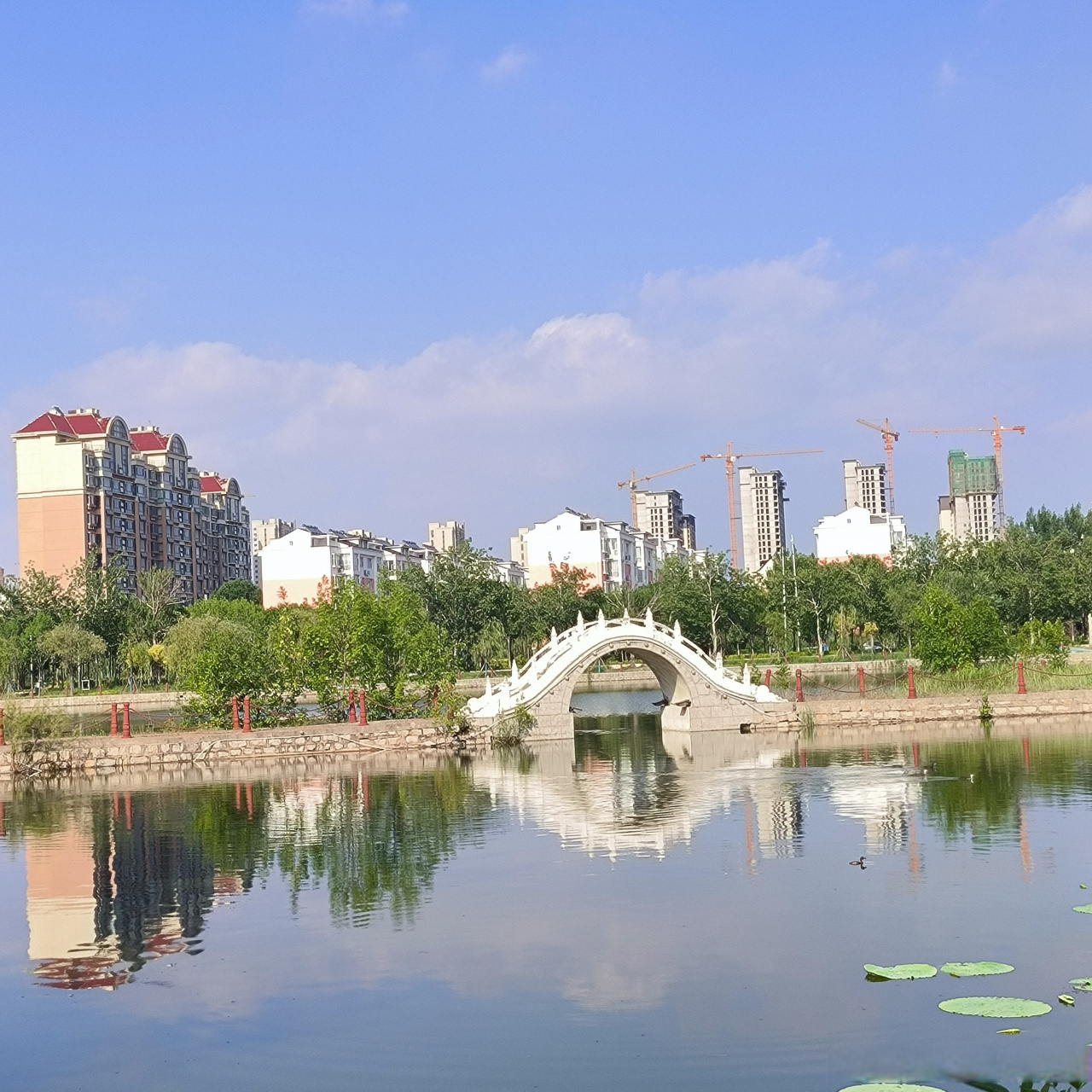校园随手拍# [心]#滨职剪影##滨州职业学院# 热爱的事情做到极致变成