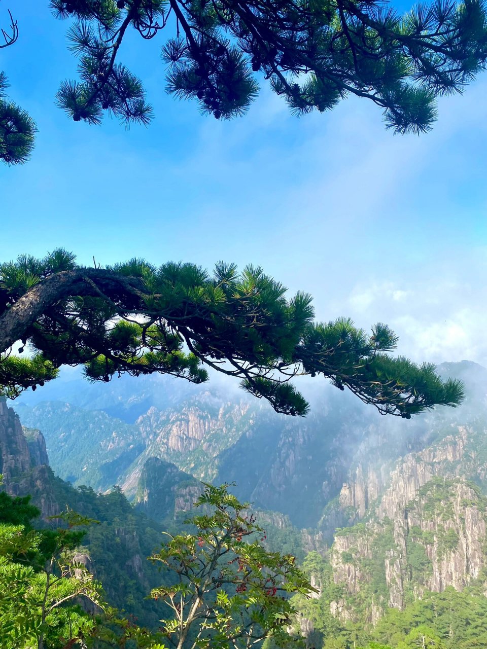 风景图片高清真实实拍图片