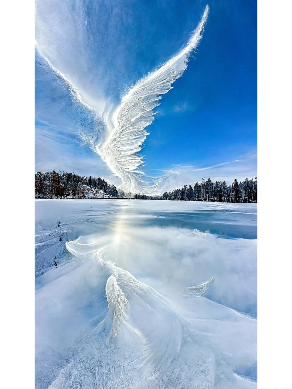 美丽巜翅膀壁纸》 | ू•ૅ㉨•́)ᵎᵎᵎ 被我