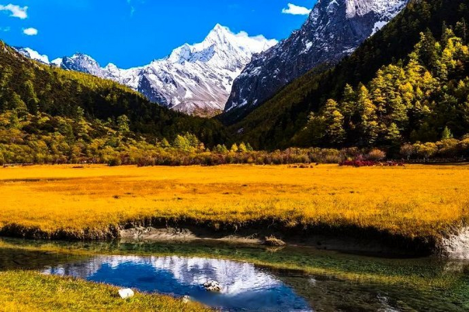 深秋山谷韵味,弥漫着亚丁的绚烂与微凉~(稻城亚丁景区) 甘孜文旅
