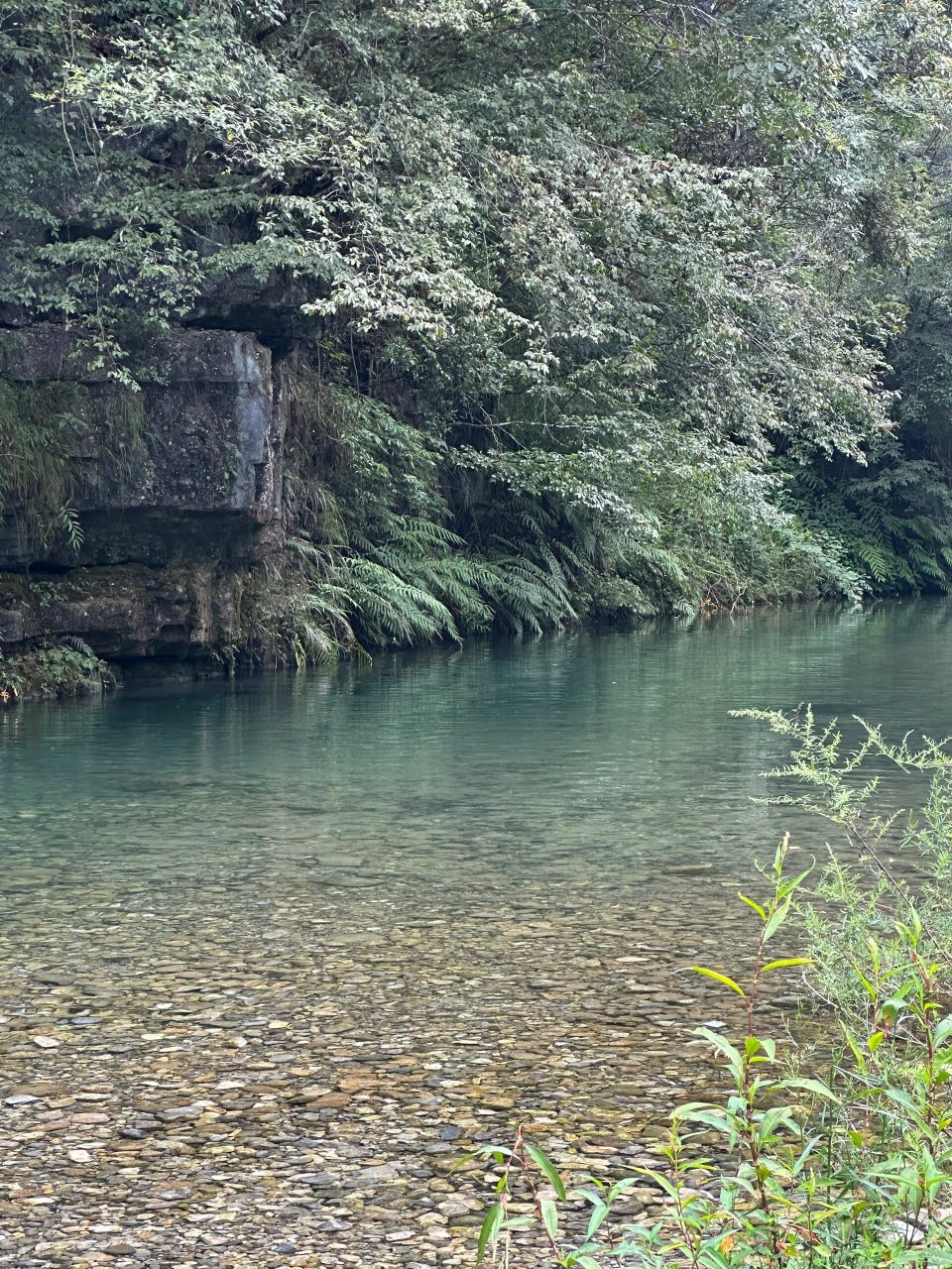 遵义绥阳观音岩图片