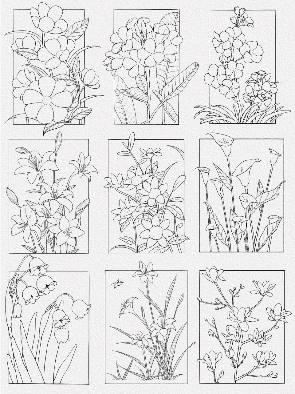 画画日常 | 九宫格花卉线稿合集94 把一些花花的线稿整理了一下解锁