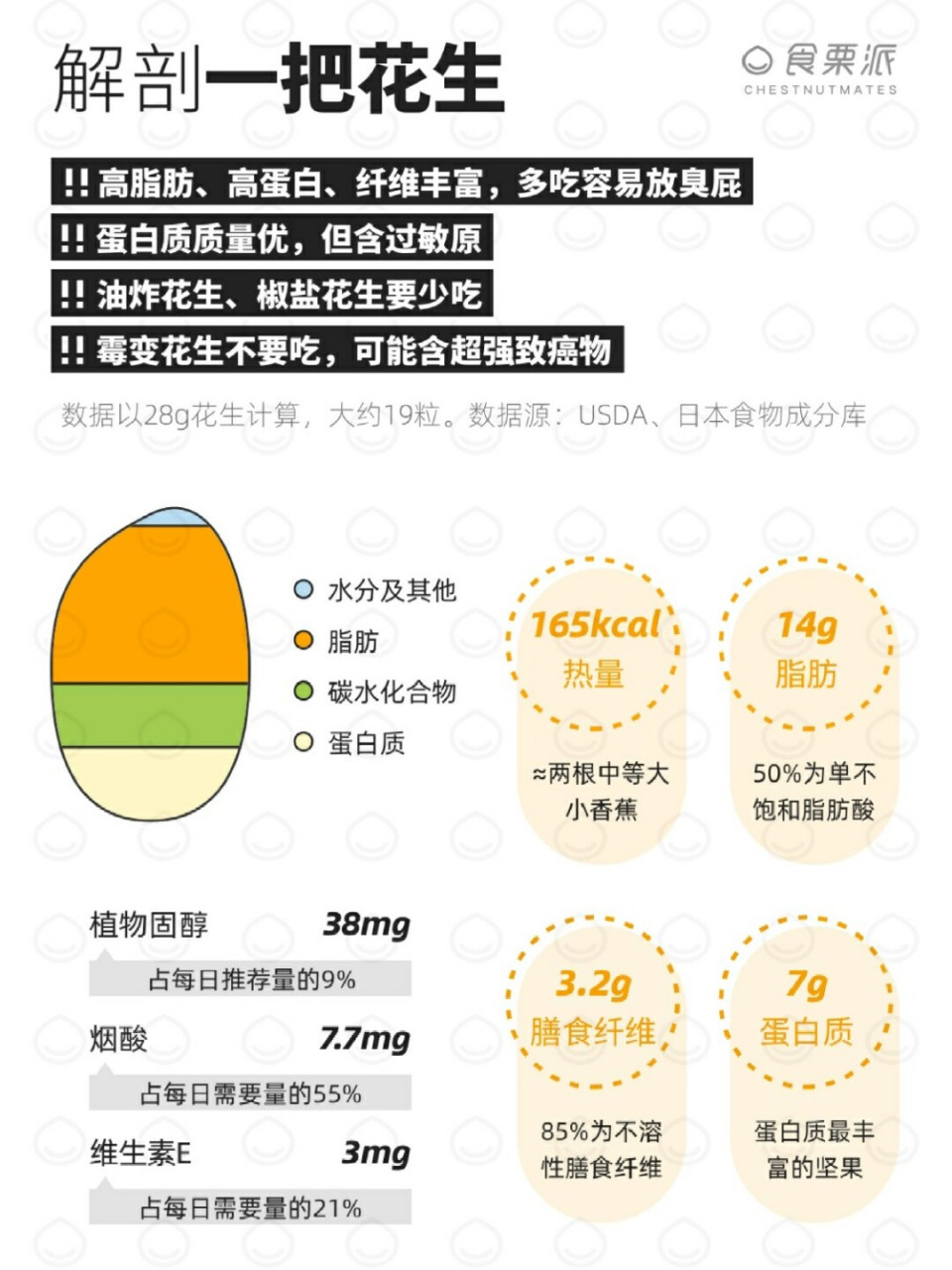 花生的结构解剖图图片