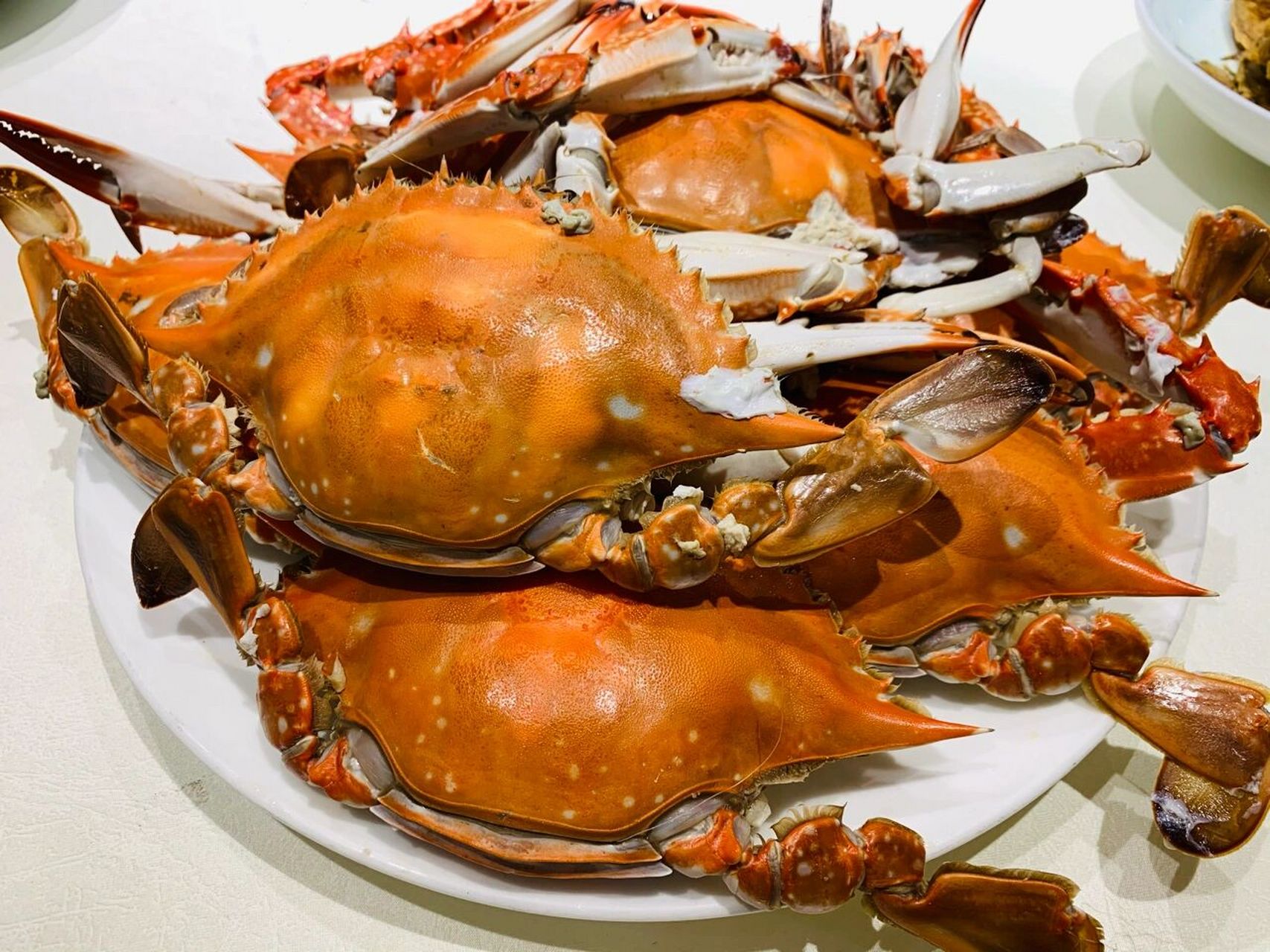 满黄梭子蟹 [舔屏]跑天津塘沽港口吃的梭子蟹,满黄了!