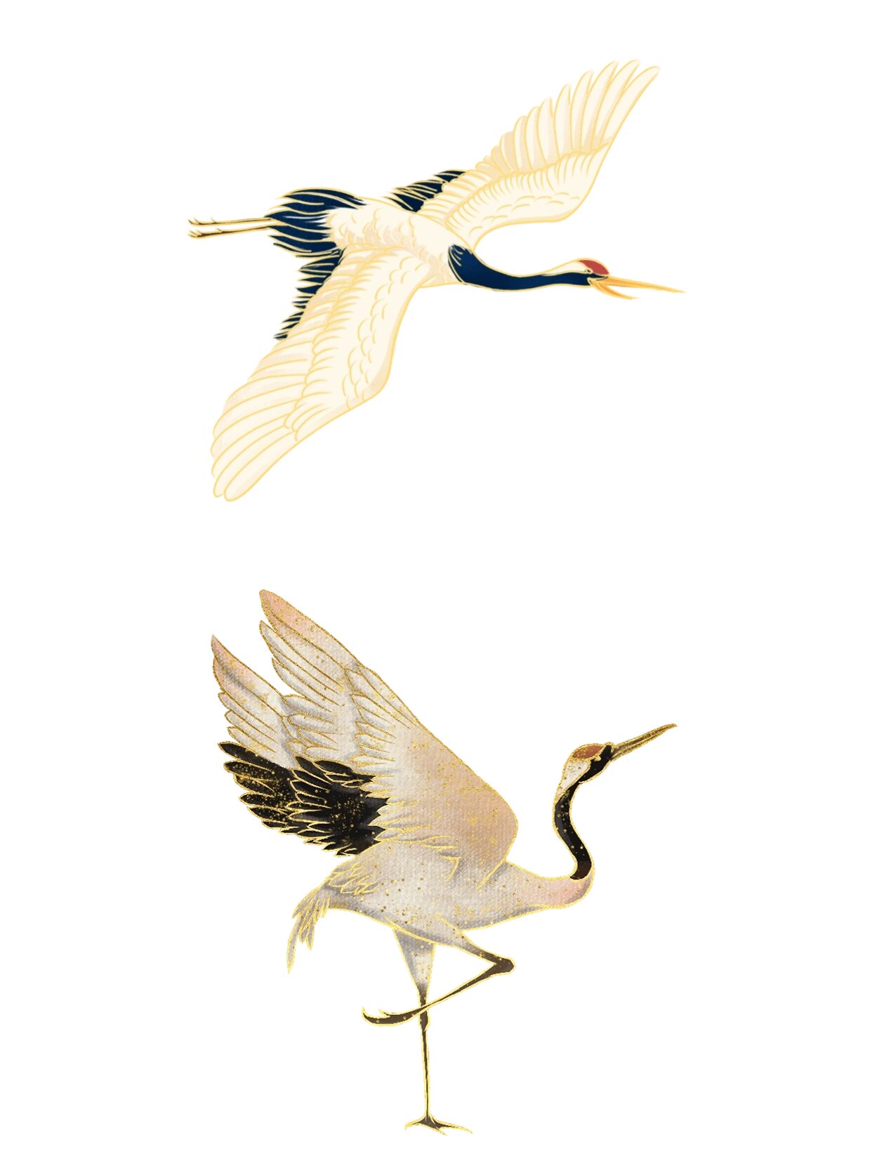 传统节气白鹭白鹭元素素材 手绘-中国风元素主题-仙鹤 中秋节八月十五