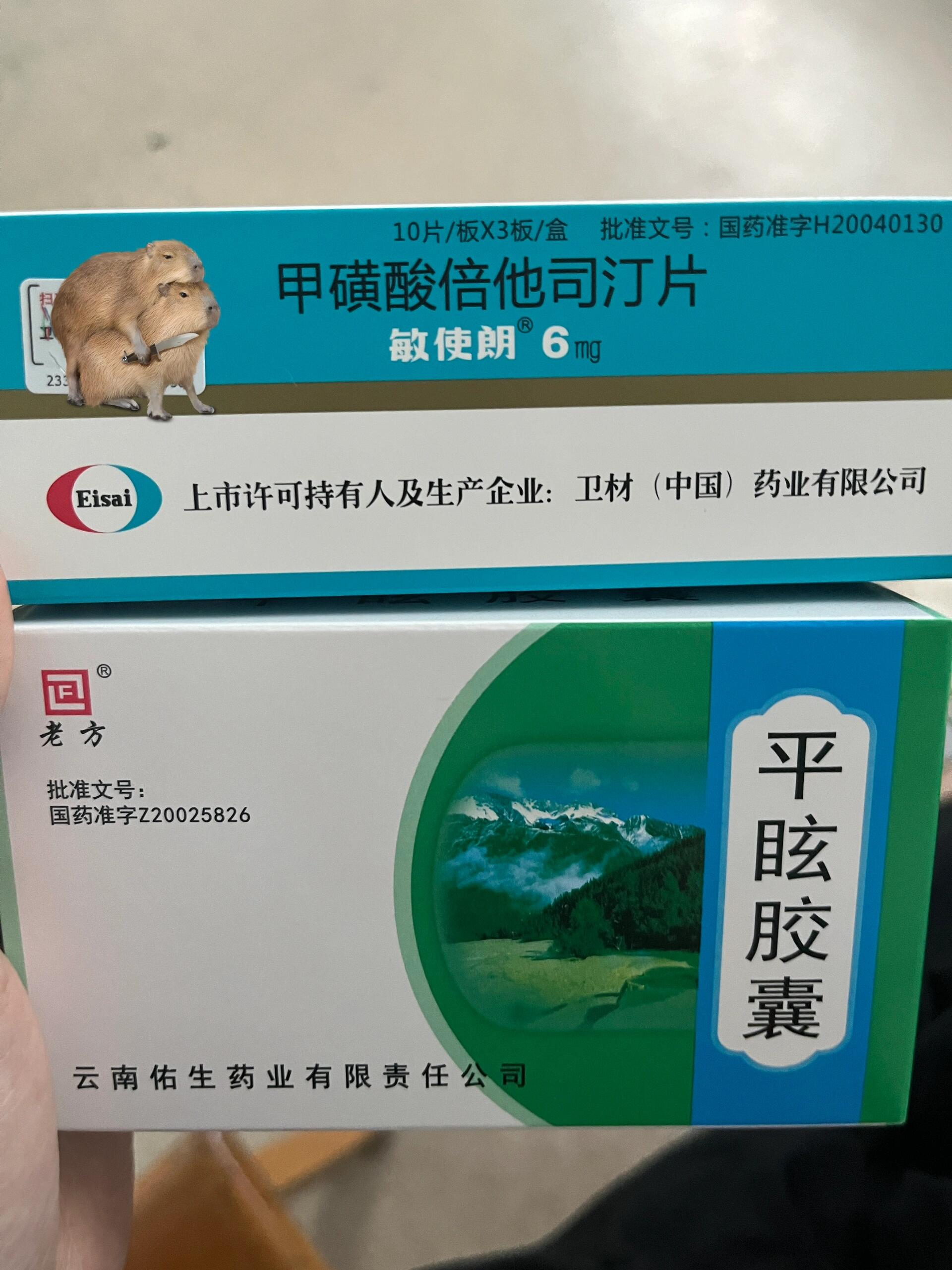 盐酸倍他司汀片别名图片