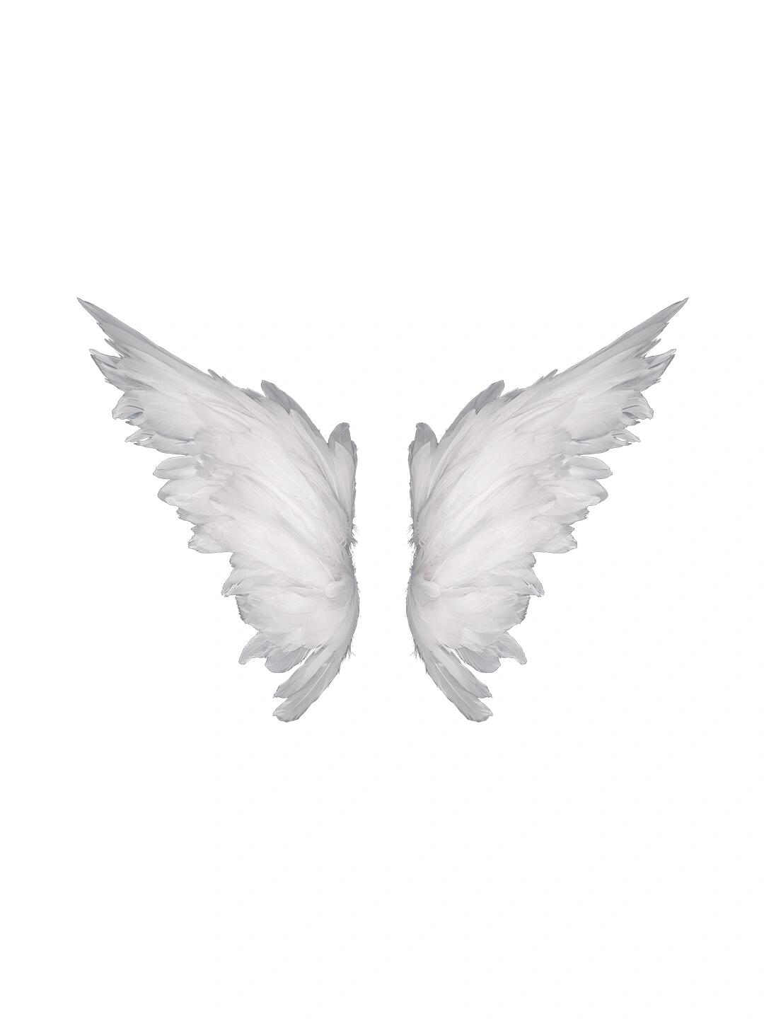 高清图片|免扣png|素材分享|98天使翅膀