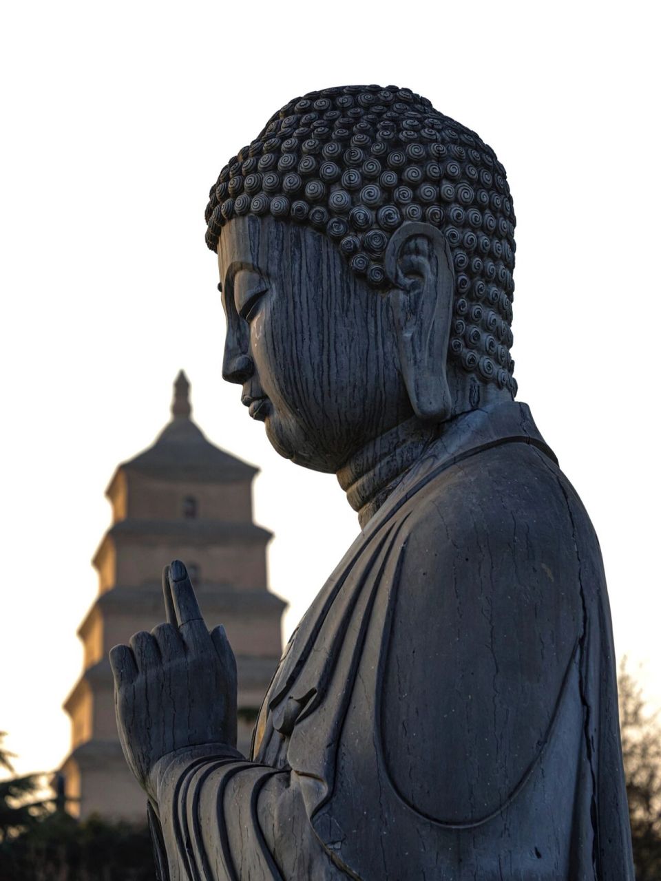 一花一世界,一佛一如来 在小红书上偶尔刷到了石佛像和大雁塔的同框