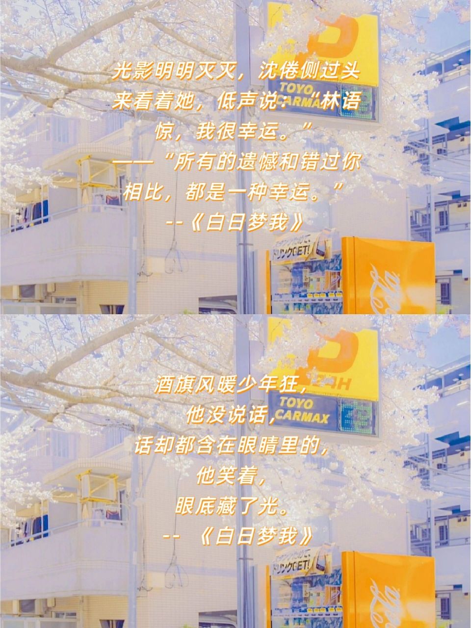 🔥经典语录|《白日梦我》--by 栖见 ✨光影明明灭灭,沈倦侧过头来