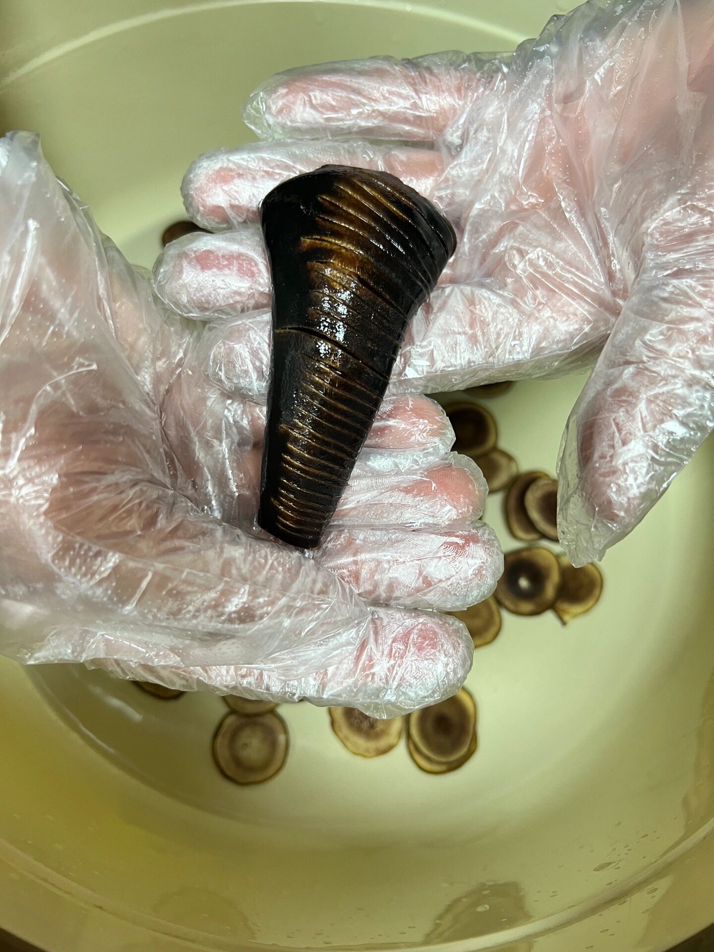 泡酒王炸!鹿尾巴鹿茸海马人参酒