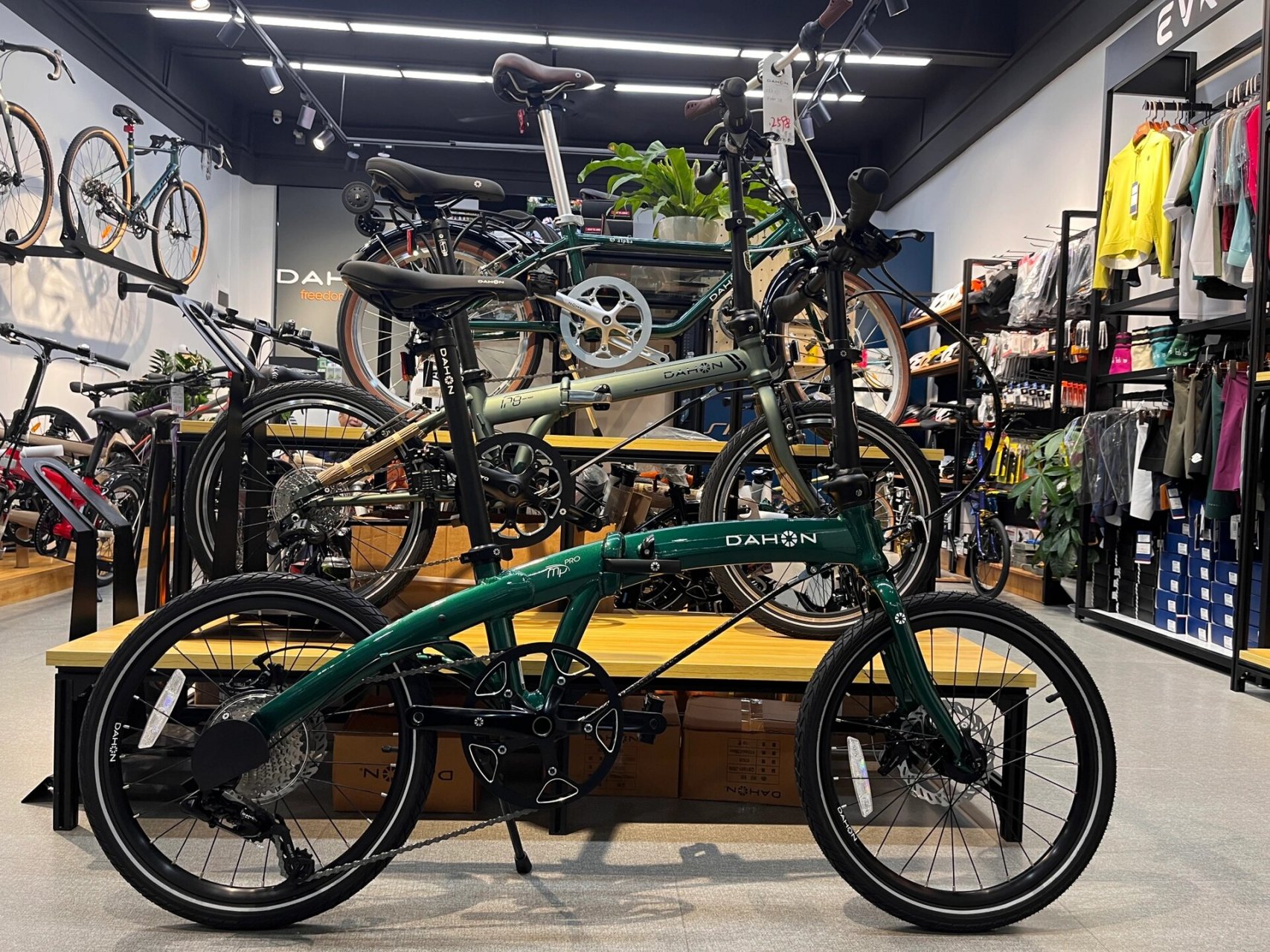 好看的 大行p10折叠车 大行经典款海豚架 铝合金车身 碟刹 搭配10速