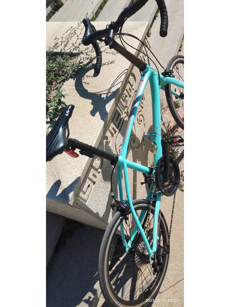 捷安特芙蕾小轮径公路车  捷安特451公路自行车 小轮公路车 捷安特