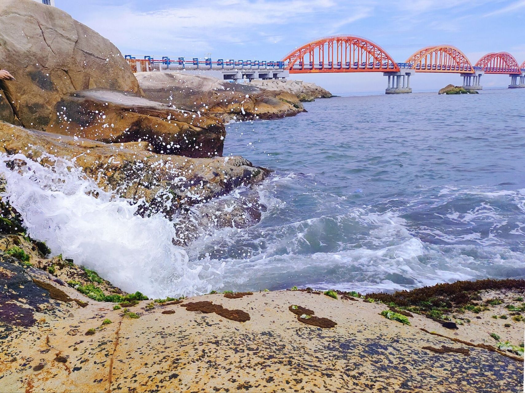 发现了惠来县一个免费又超出片的海边美景 导航74惠来