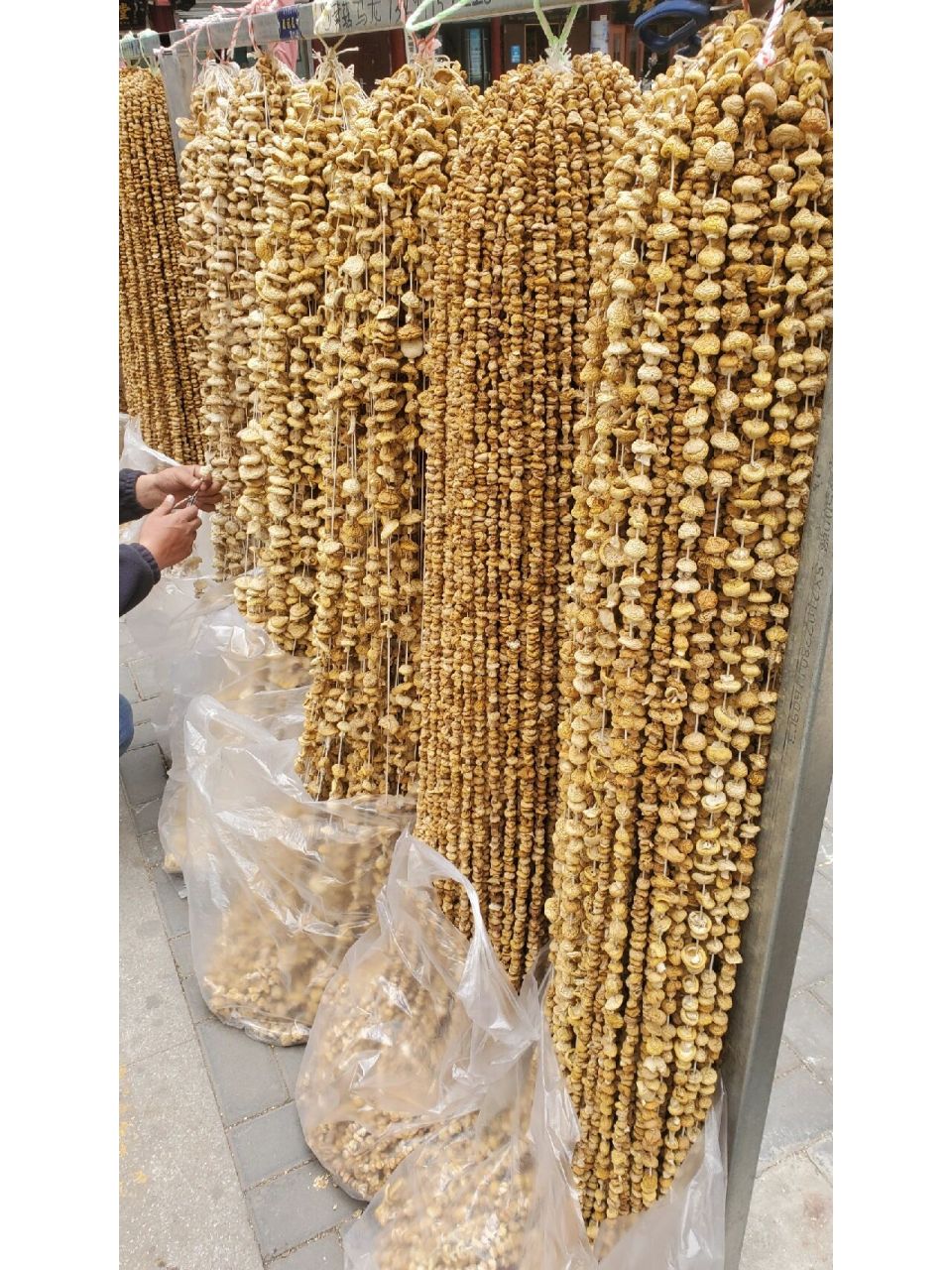 青海祁连野生黄蘑菇 黄蘑菇的功效与作用:具有清热除烦,养血活血,追风