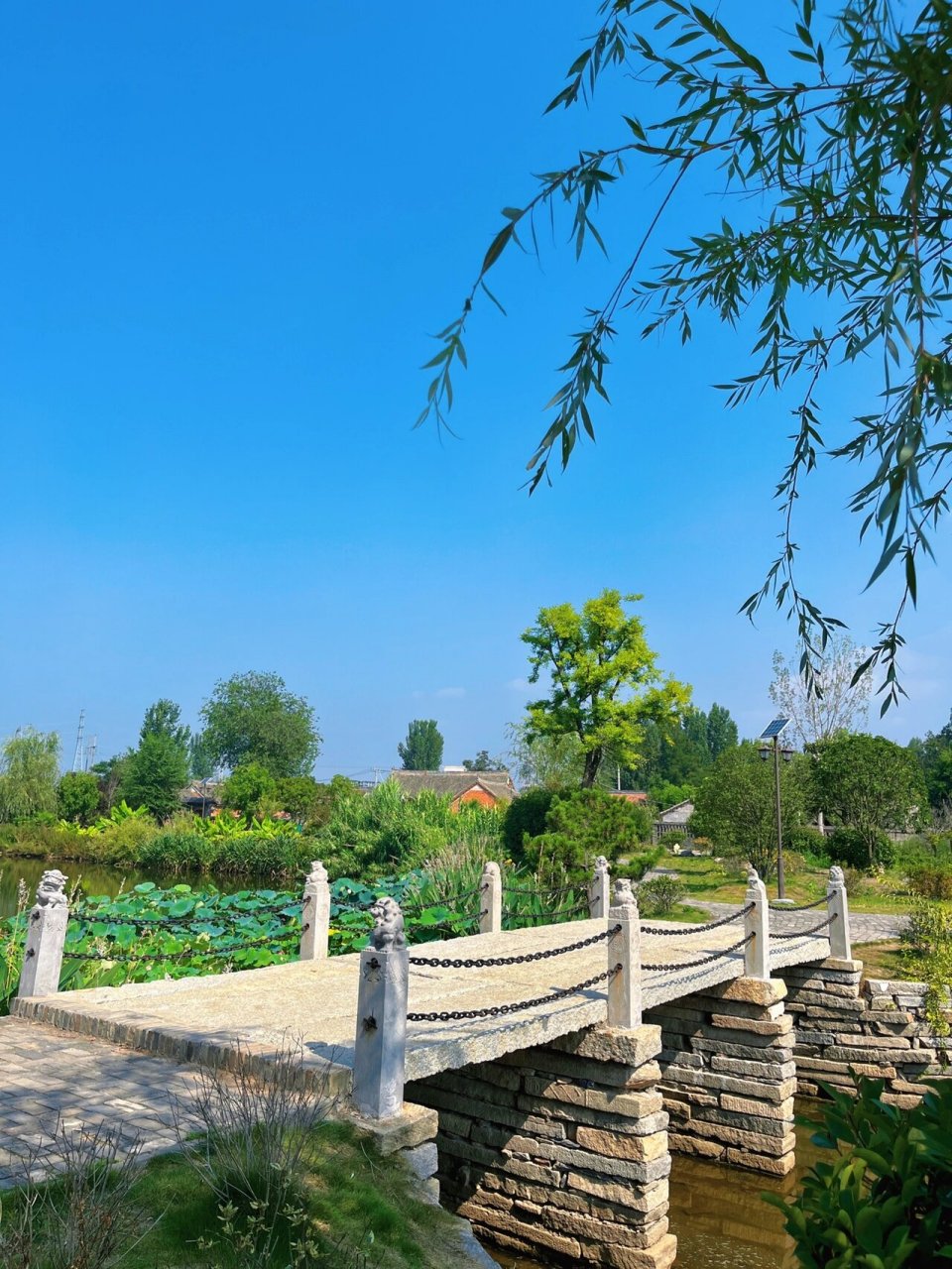 邓州风景图片图片