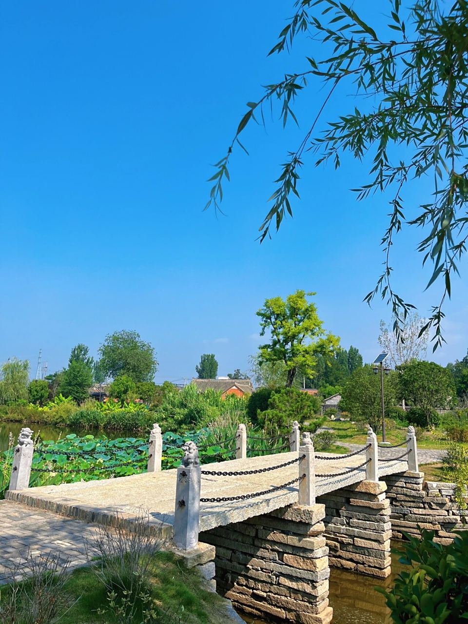 姐妹们,别再说咱们邓州没有好看的风景啦 我给大家找到了,就在韩营