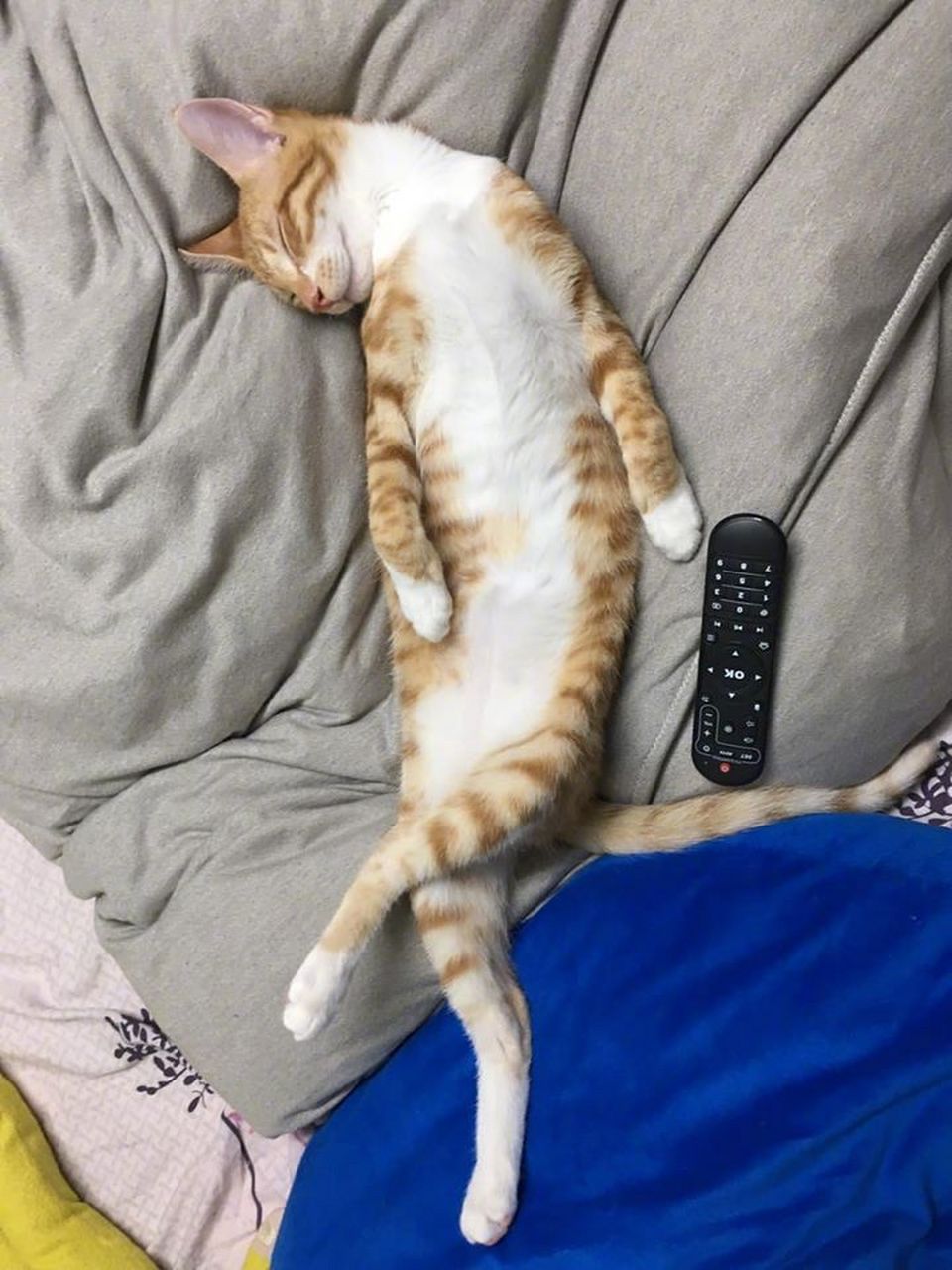 这是有多舒服啊,二郎腿都翘着.