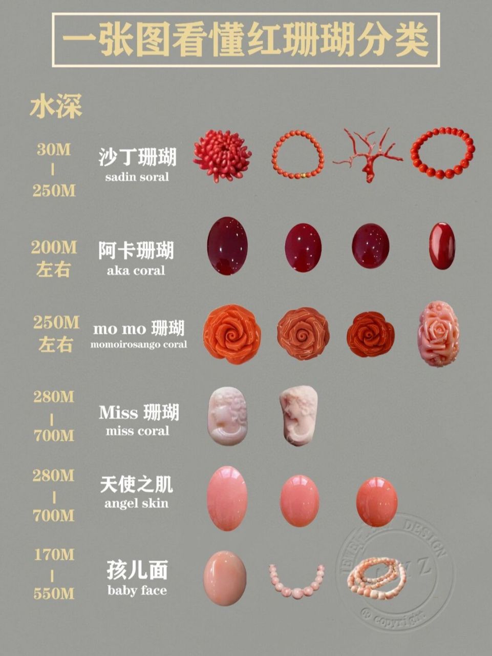 一张图看懂红珊瑚分类 珊瑚属于有机宝石,生长在远离人类的100至2000