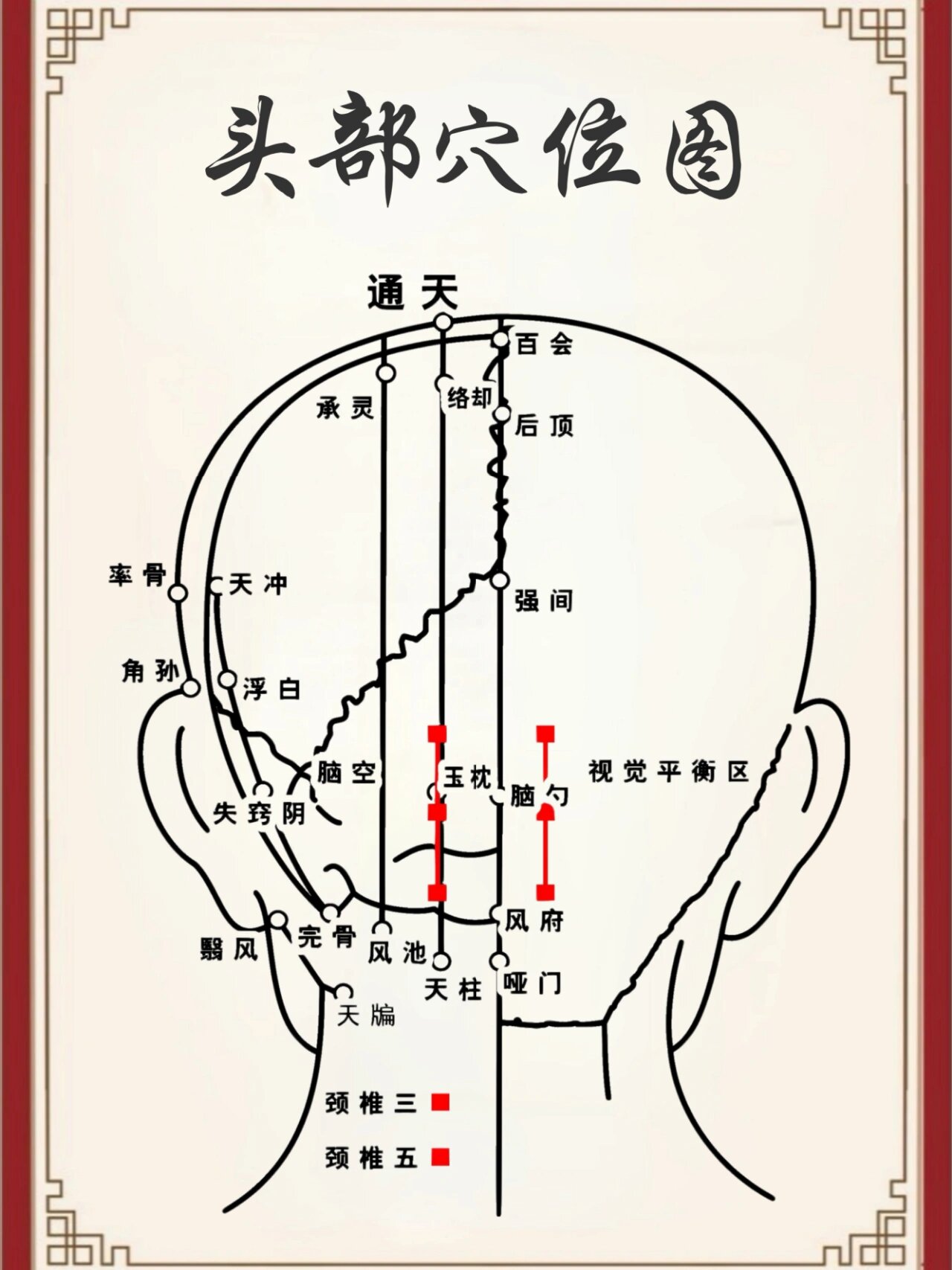 头部经络全息反射图图片