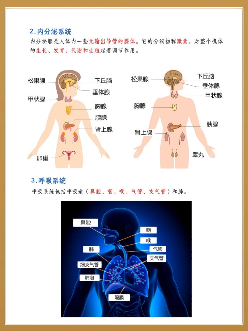 八大系统图片卡通图片