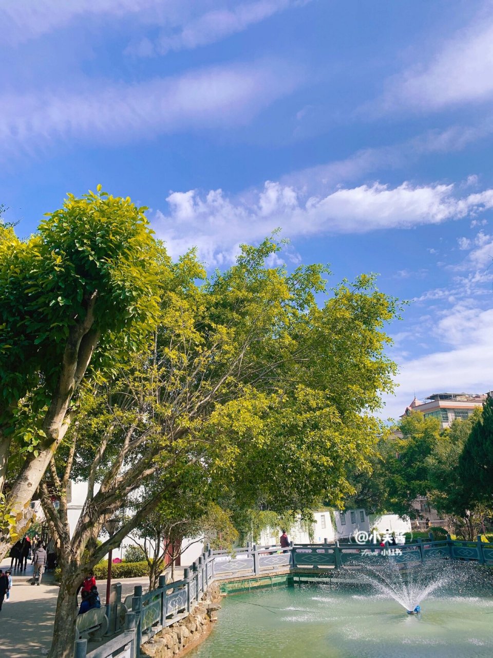 93 最近好多人去南漈的龙湫寺拍枫叶,南漈公园是大部分宁德人心中