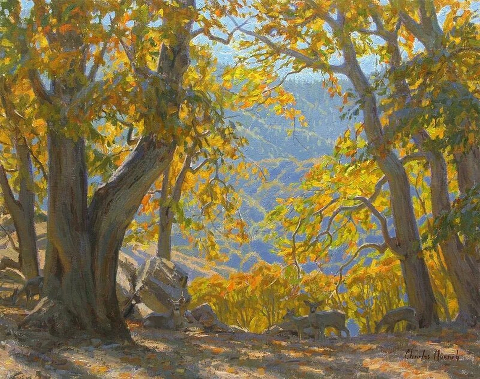 充满光感的油画风景——查尔斯作品 16615 查尔斯·穆恩奇(1966-)