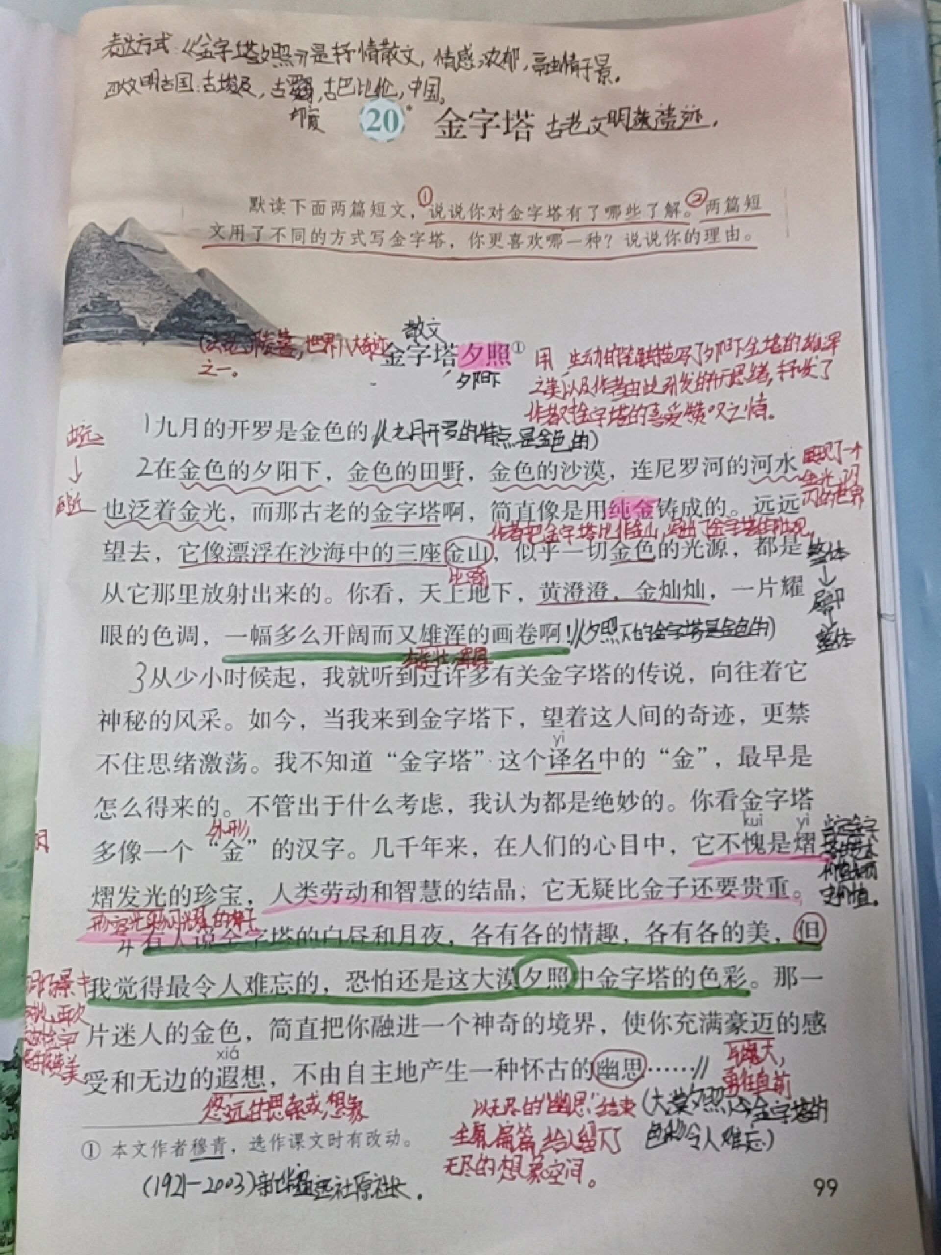 金字塔 课堂笔记图片