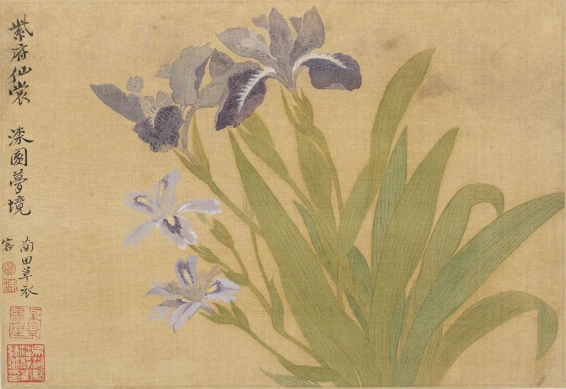 每日国画高清图片分享 清-恽寿平《花卉十开》上海博物馆册页   绢本 