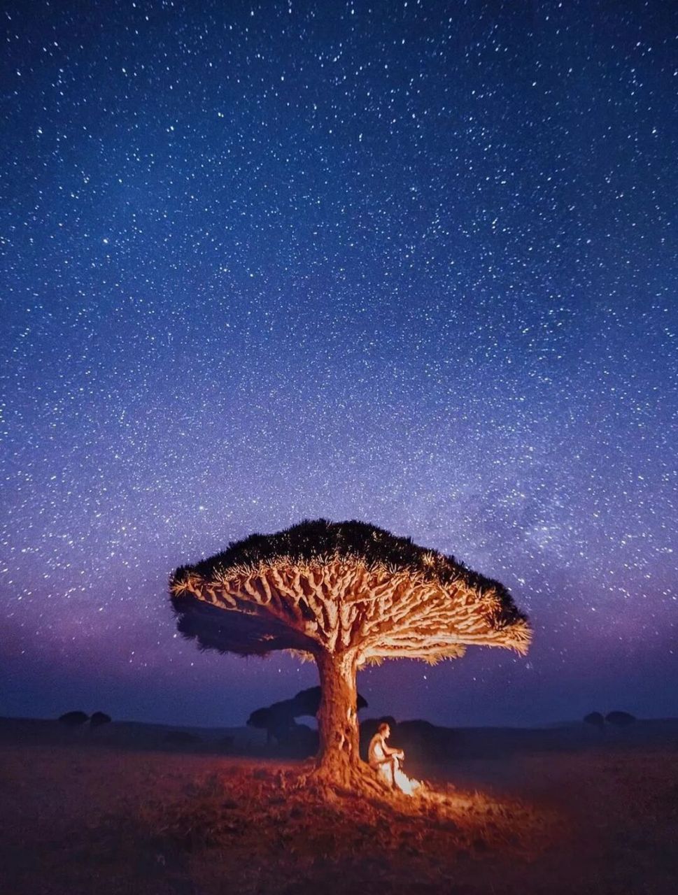 传说中"失落的世界"索科特拉岛 | 也门 在印度洋不远的亚丁湾 与一个