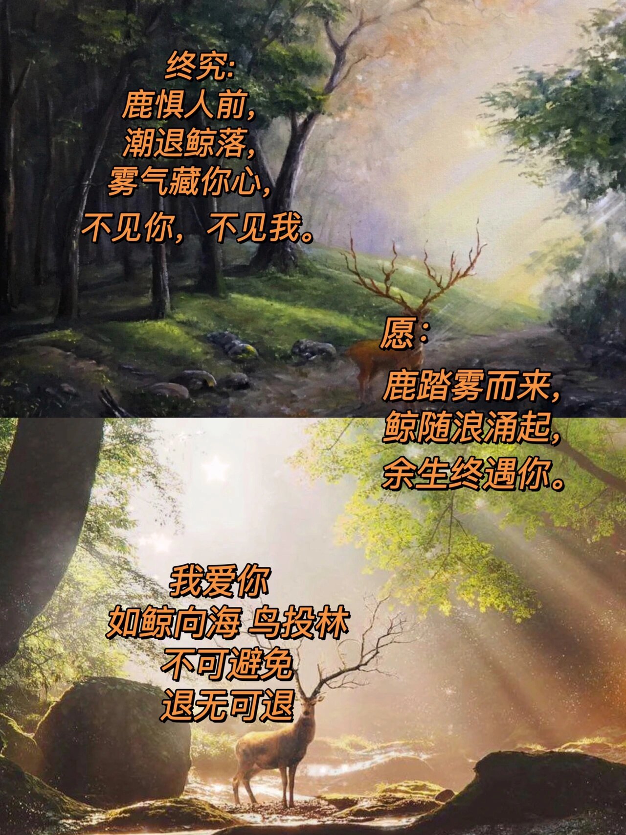 林深时见鹿,海蓝时见鲸,梦醒时见你.