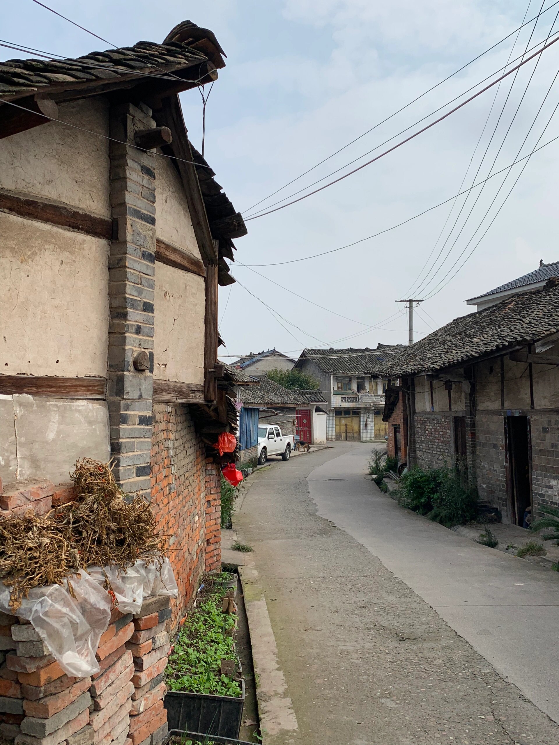 四川老街159:邛崃-宝林镇 宝林镇因镇域内有宝林寺而得名.