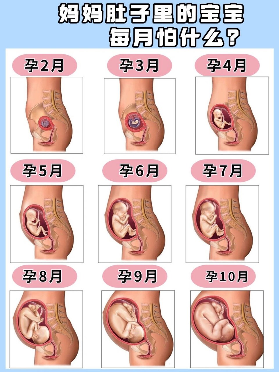 怀孕一个月宝宝有多大图片