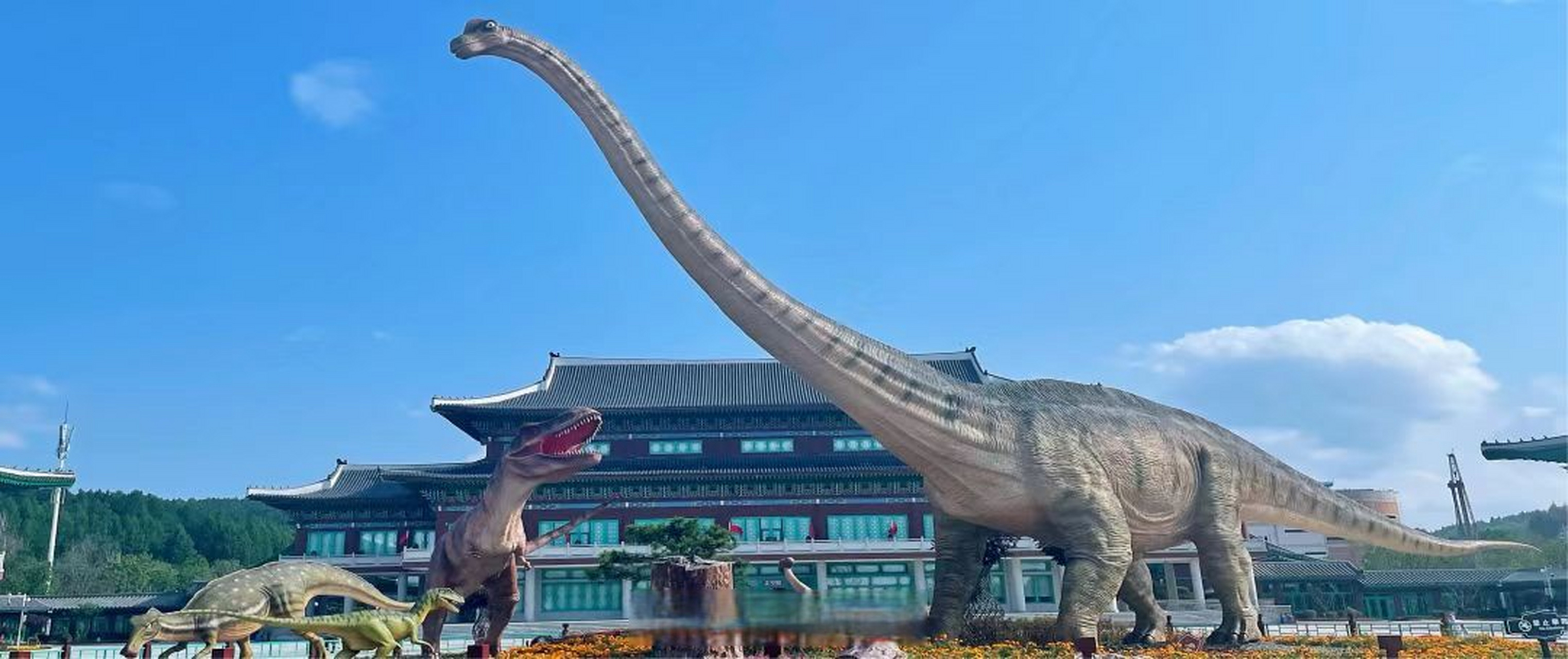 吉日五一游#【延吉恐龙博物馆将于4月27日正式恢复开馆】带上小伙伴