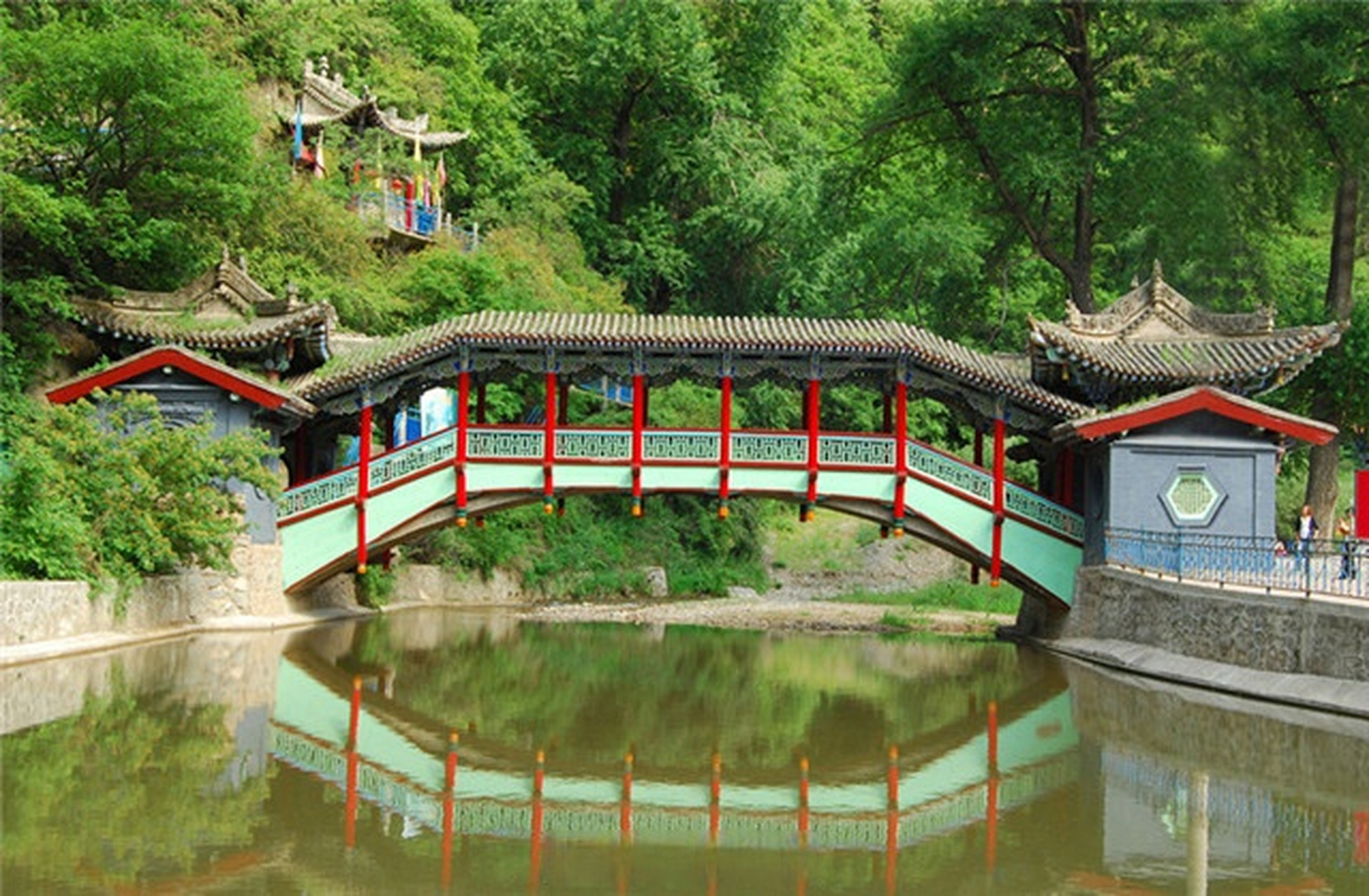 甘肃秋天有多美# 兴隆山秋色#如意甘肃