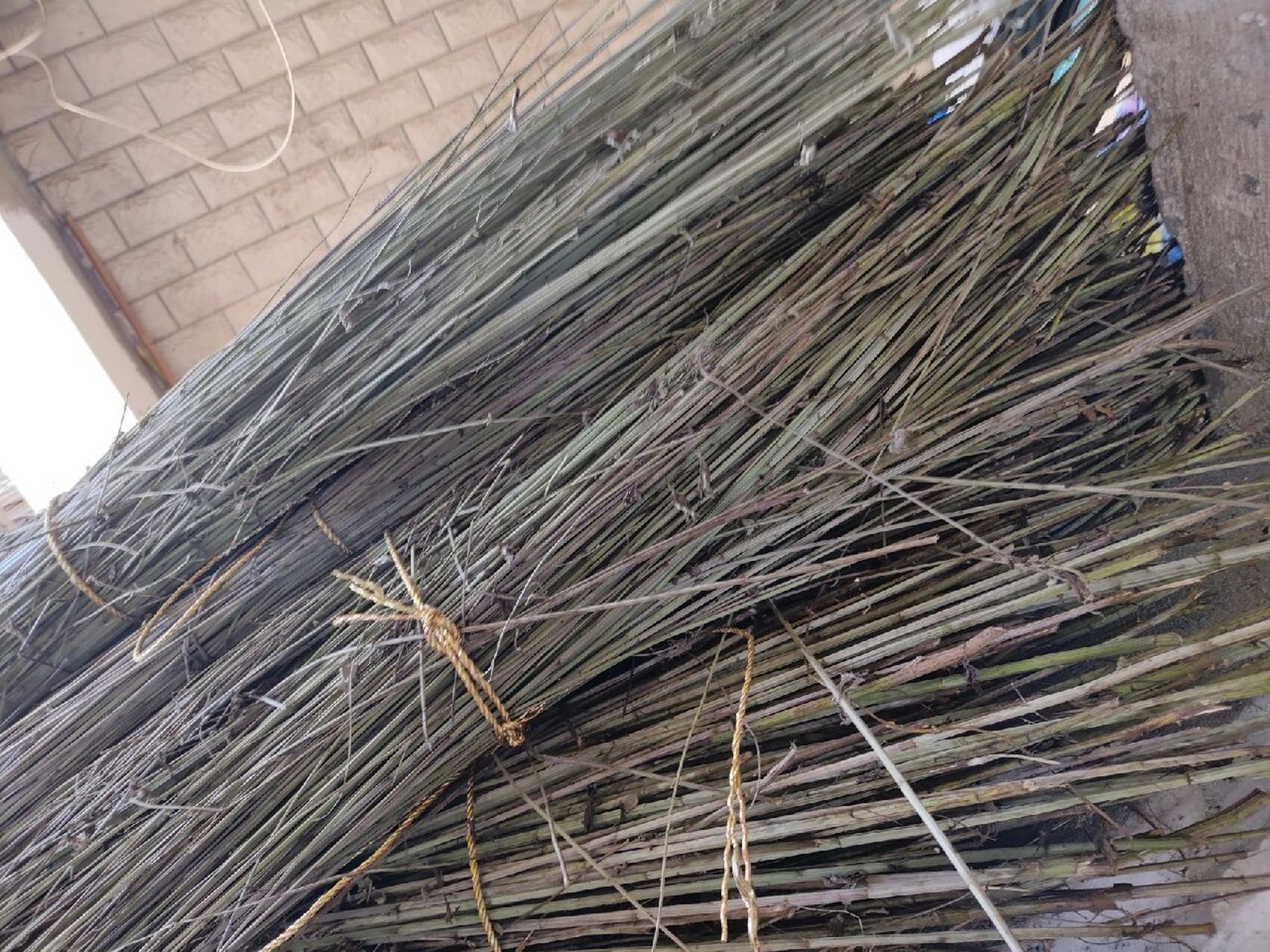 当然是用来烧火啦 蕲艾艾叶都已经收好割完,艾杆用来做什么,因为在