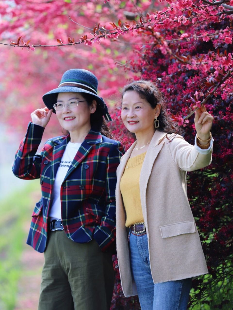 在金华市金东区岭下镇釜章村,位于八仙溪边的百米紫藤长廊花朵绽放