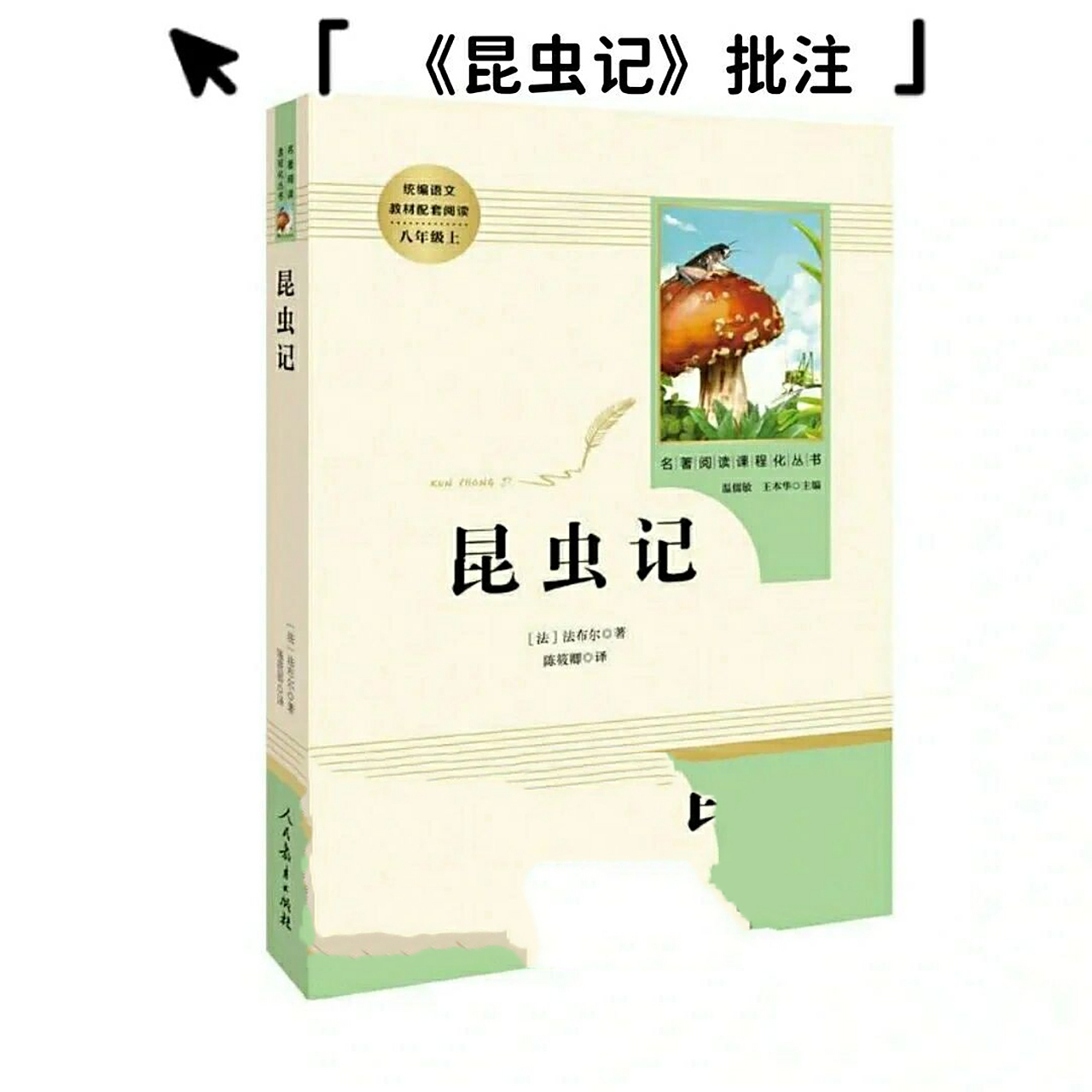 《昆虫记》~老象虫(上)