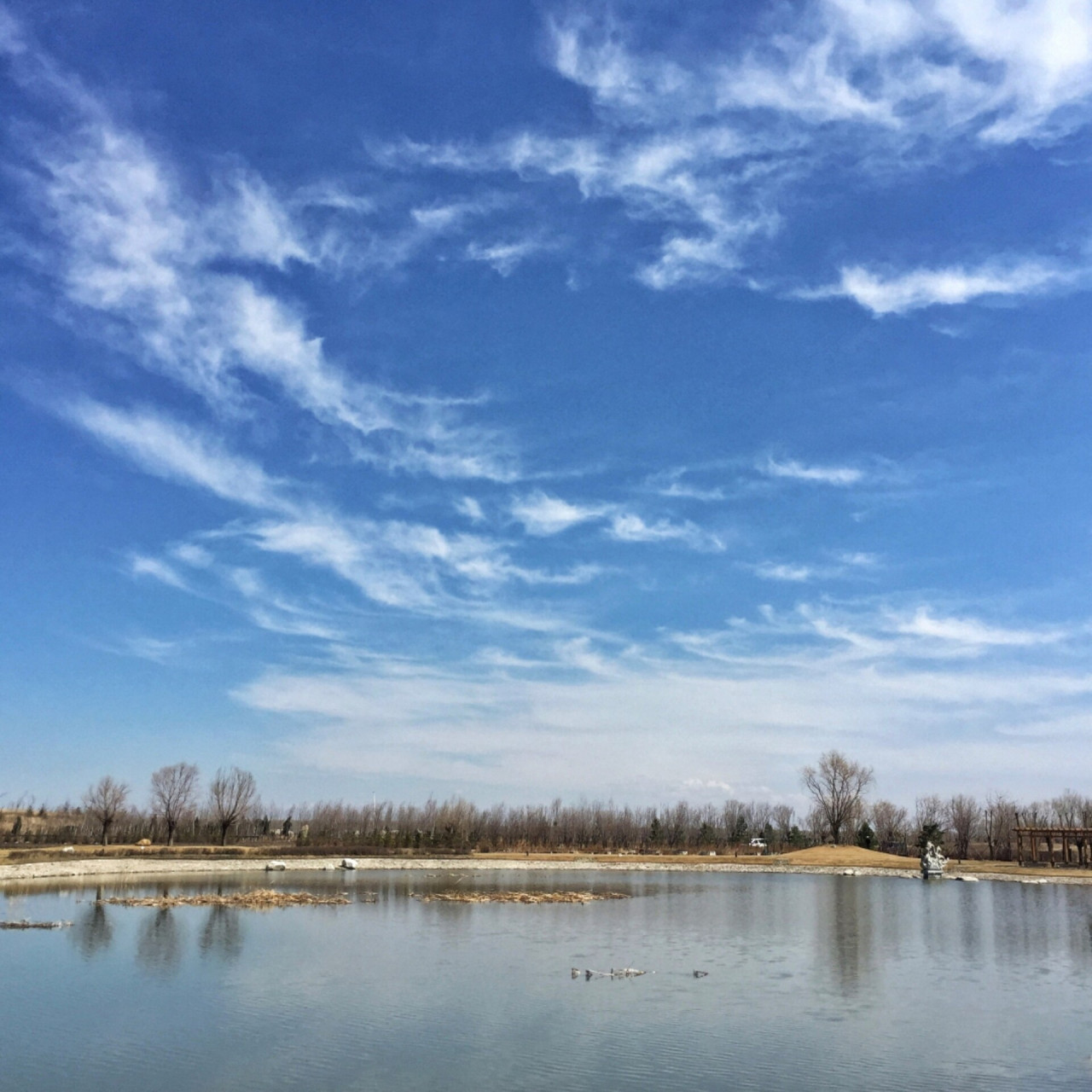 足迹93黑龙江省兰西县 手机摄影 兰西县是黑龙江省绥化市下辖的一个