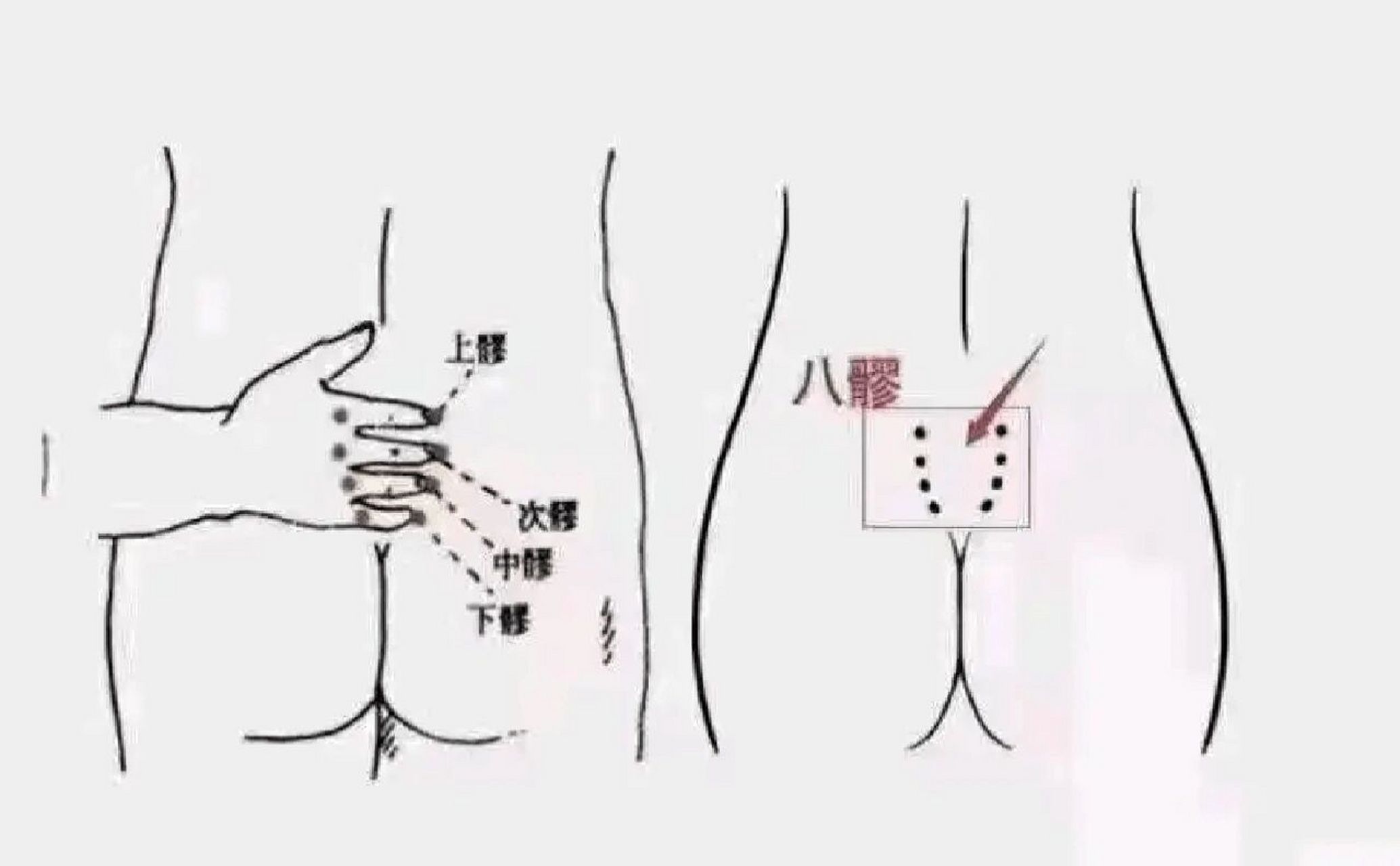 八髎穴,每天灸一灸,疏通气血7515 73八髎是什么71 八髎穴