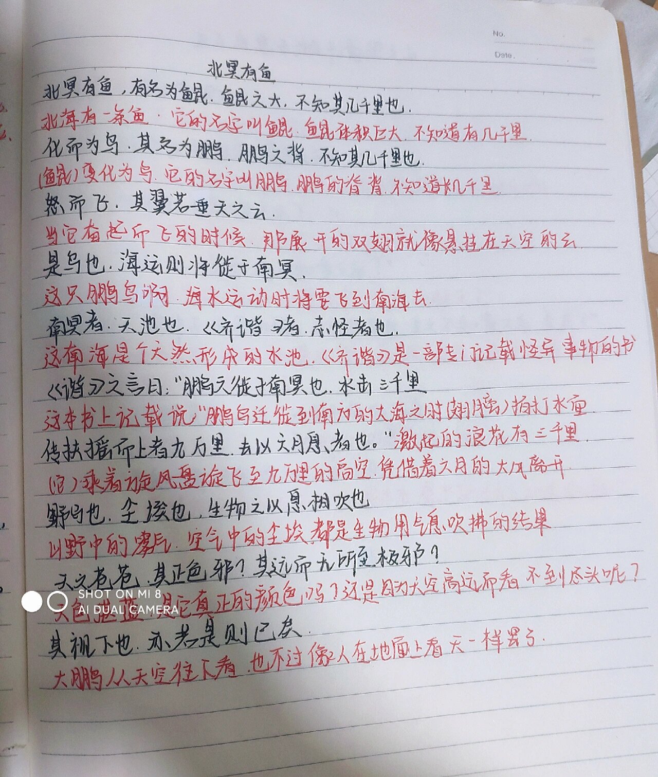 北冥有鱼古文翻译