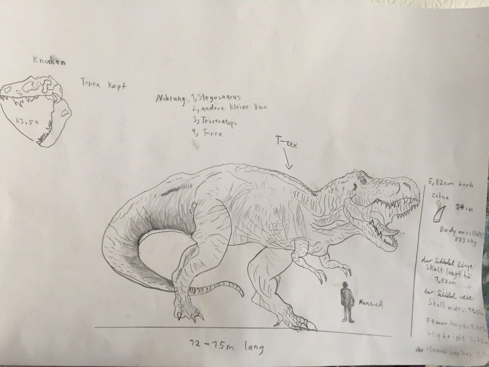 霸王龙 t-rex tyrannosaurus 今天把一直喜欢的t-rex 又画了一次