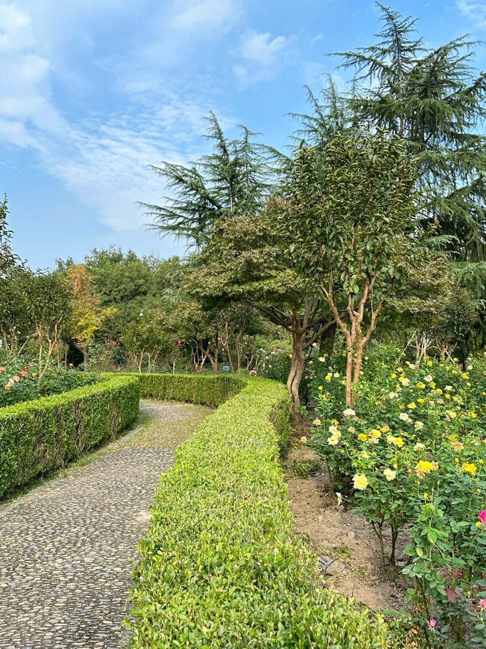 打卡杭州冷门小众景点 杭州花圃 偶然停下,看到杭州花圃,进去转了一圈