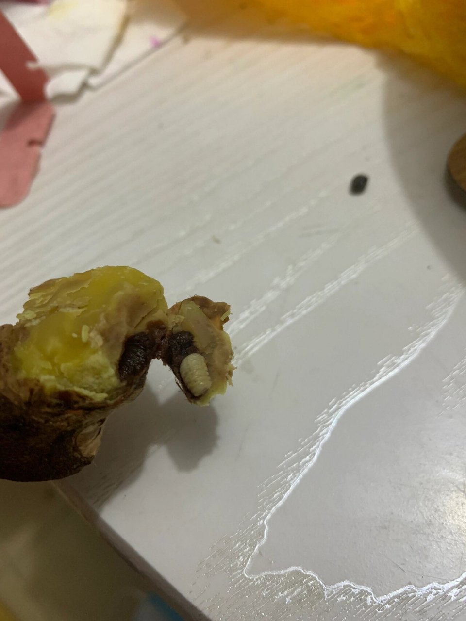 怎么会有那么大个虫在板栗里 得亏不是上嘴直接咬   不然我得当场去世