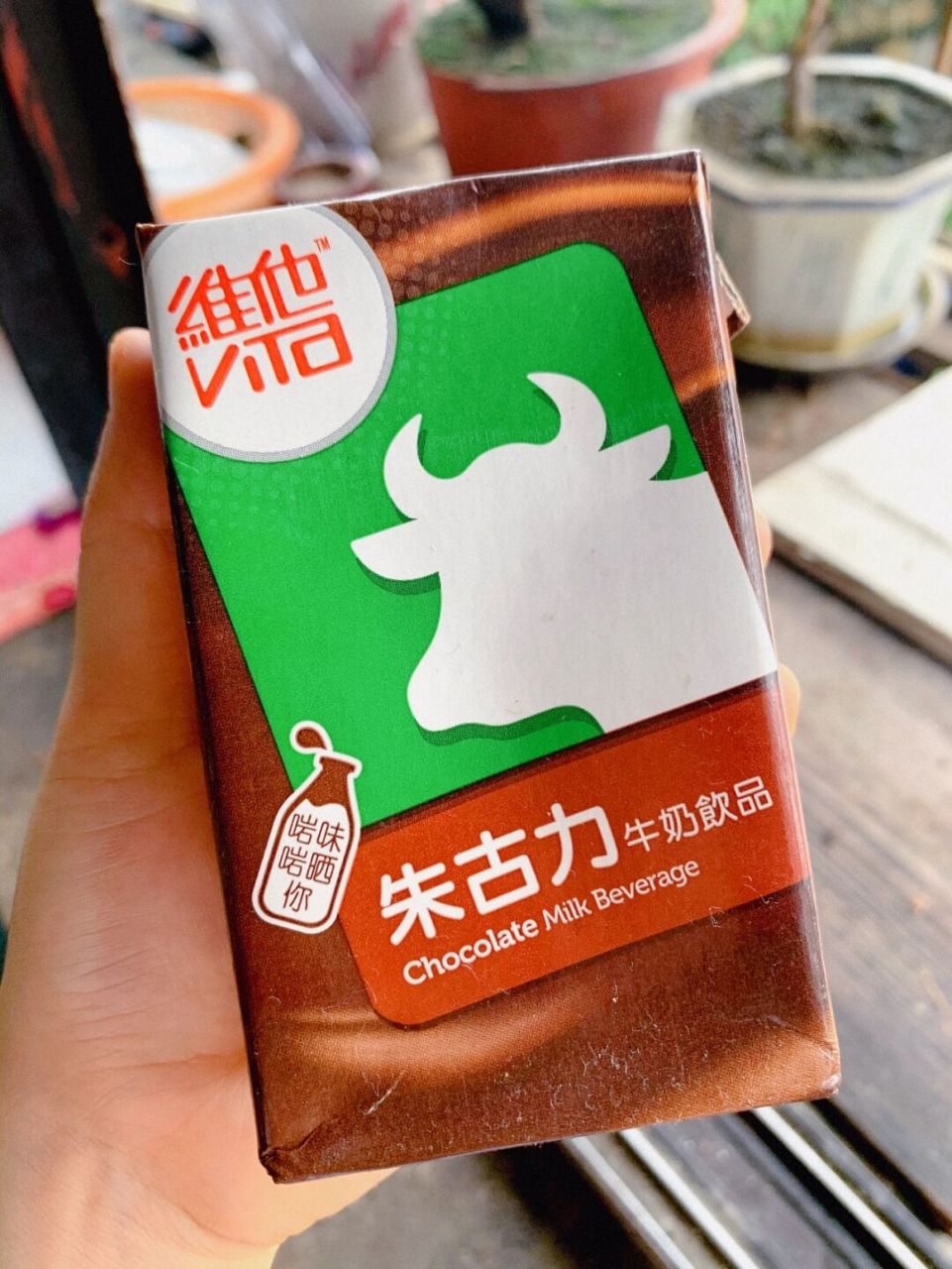 维他朱古力奶港版|超浓郁不好喝回来揍我!