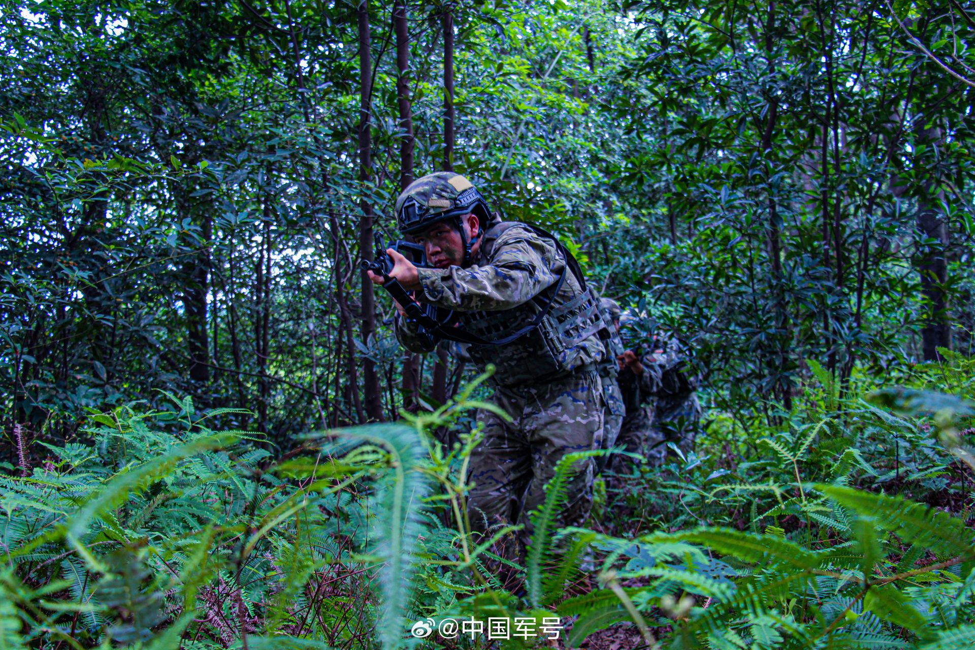 武警夏日丛林训练帅气大片#[得意]】近日,武警第二机动总队某支队