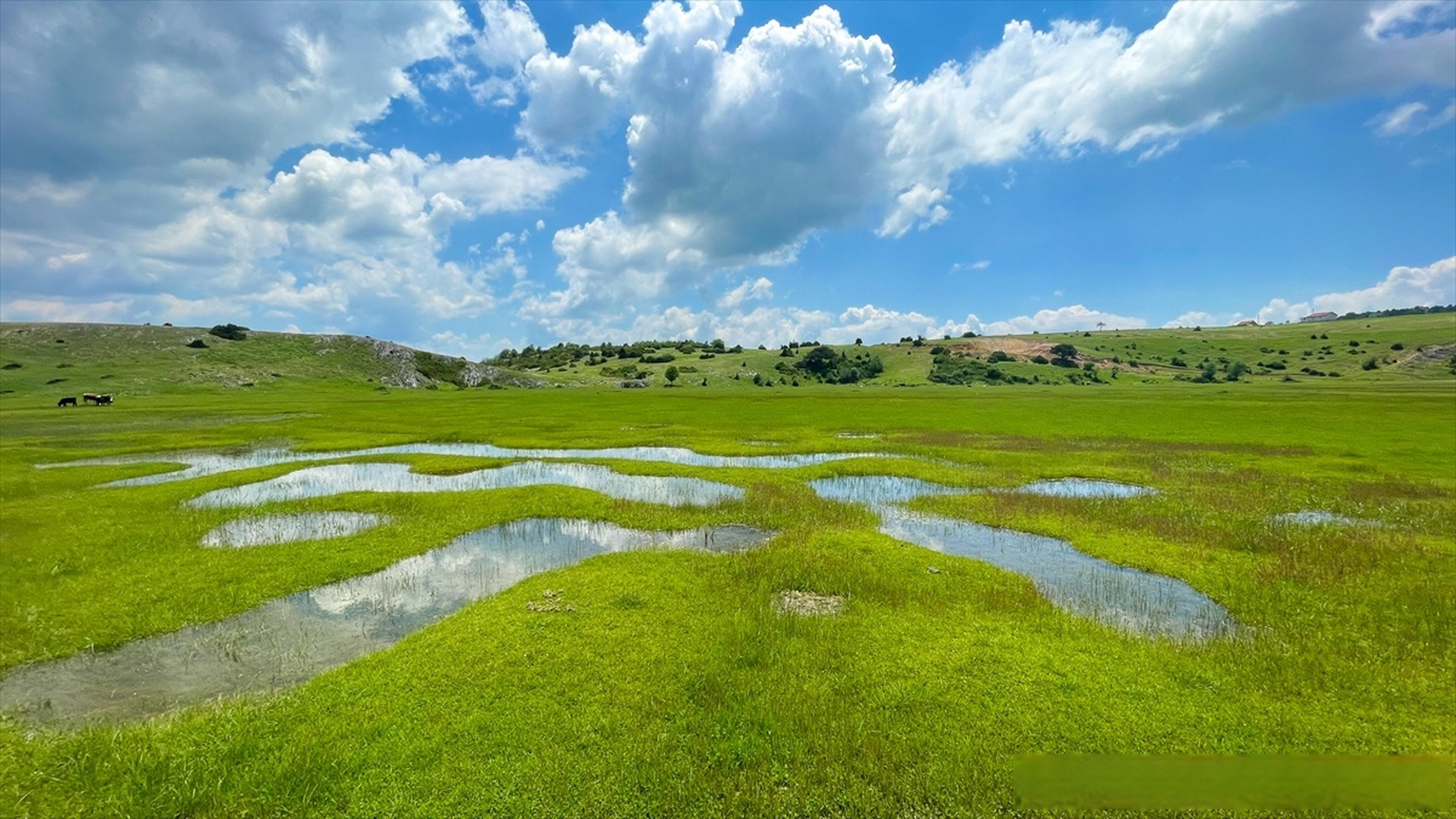 【#土耳其镜头#:蜿蜒的地形为卡拉戈尔高原增增添活力】 卡拉戈尔