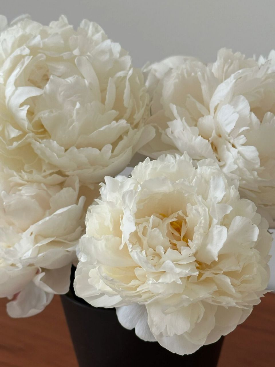 碗 花如其名 一朵奶油盛开 #我的日常# #家居# #插花# #芍药# #花瓶