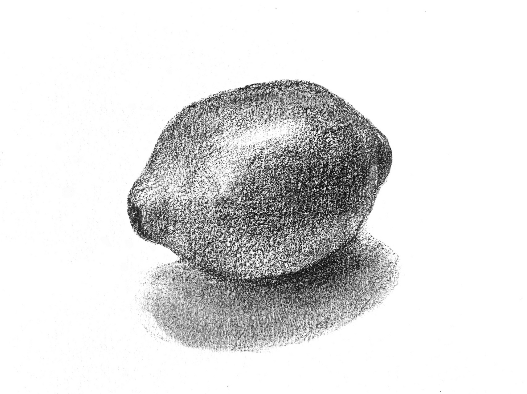 素描柠檬 〉〉〉【说明】:画画教程非常清晰,只要按照我们的步骤来画